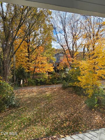 827 West Pine Street, Johnson City, TN 37604