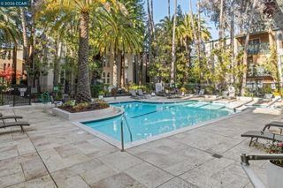 185 Sierra Dr 316, Walnut Creek, CA 94596