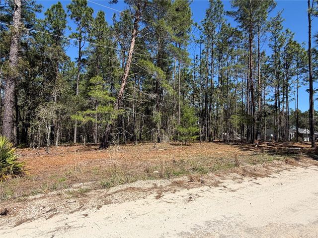 00000 SE 58TH PLACE, Morriston, FL 32668