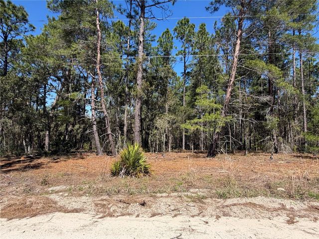 00000 SE 58TH PLACE, Morriston, FL 32668