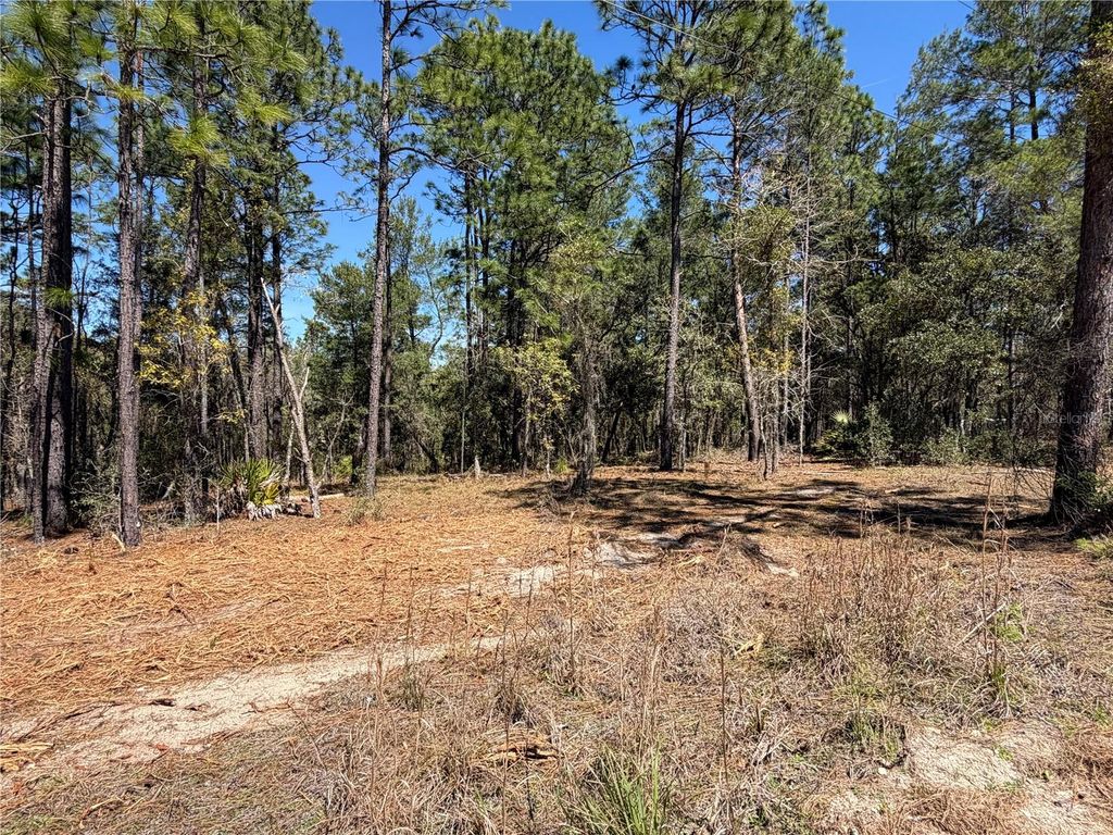00000 SE 58TH PLACE, Morriston, FL 32668