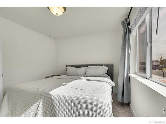 432 Halcyon Way, Windsor, CO 80550