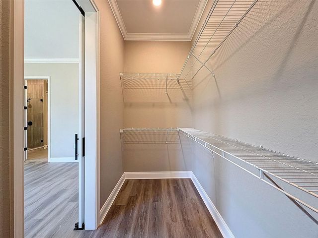 2407 OLD MEDULLA ROAD, Lakeland, FL 33811