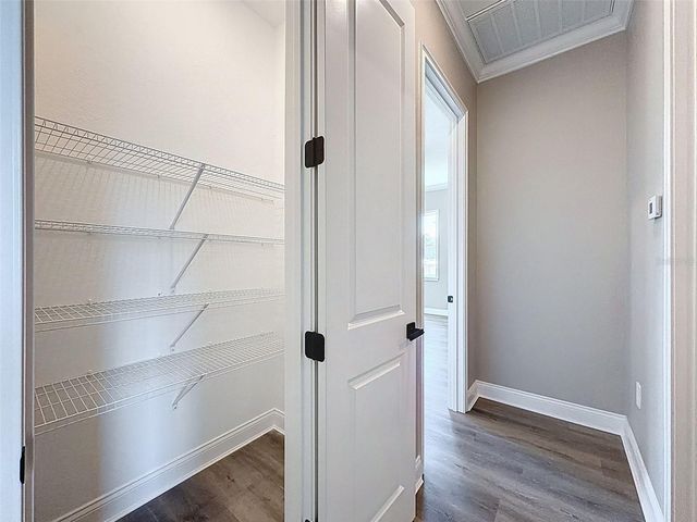 2407 OLD MEDULLA ROAD, Lakeland, FL 33811