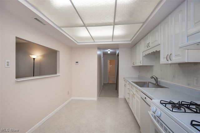 26702 Lake Of The Falls Boulevard, Olmsted Falls, OH 44138