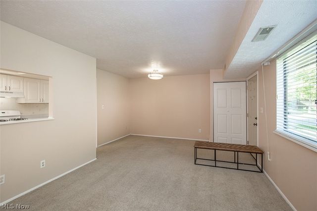26702 Lake Of The Falls Boulevard, Olmsted Falls, OH 44138