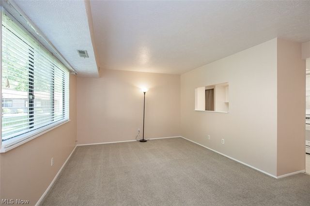 26702 Lake Of The Falls Boulevard, Olmsted Falls, OH 44138