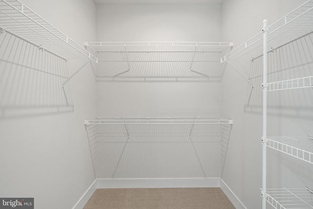 581 TRIFECTA RD, Downingtown, PA 19335