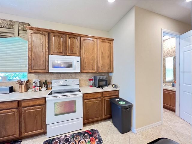 1607 TAIL FEATHER DRIVE, Kissimmee, FL 34746