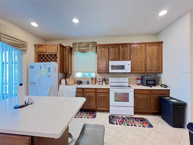 1607 TAIL FEATHER DRIVE, Kissimmee, FL 34746