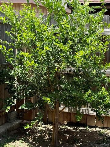 3100 Princeton Avenue, Mcallen, TX 78504