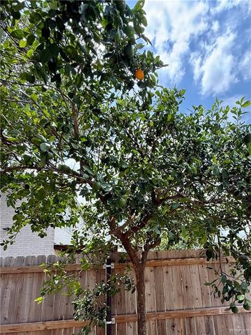 3100 Princeton Avenue, Mcallen, TX 78504