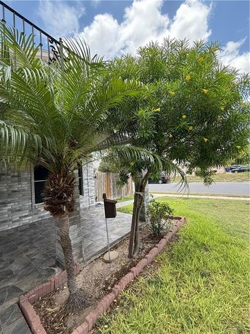 3100 Princeton Avenue, Mcallen, TX 78504