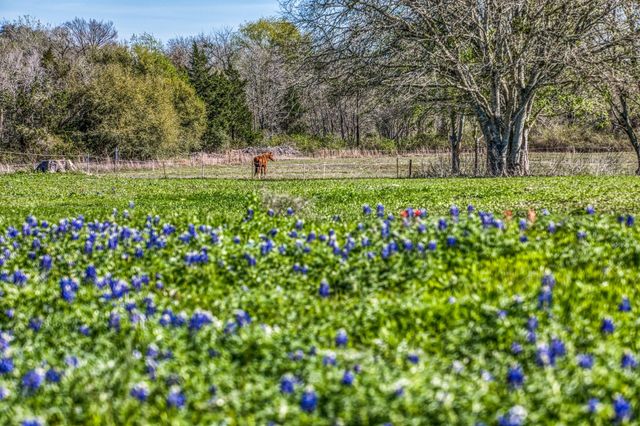 6510 Ganske Road, Burton, TX 77835
