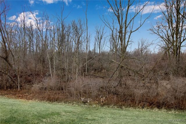 45 Bee Hunter Court D, Amherst, NY 14051