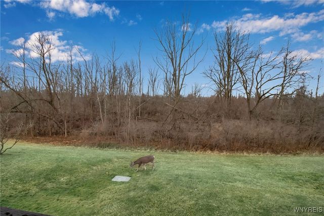 45 Bee Hunter Court D, Amherst, NY 14051