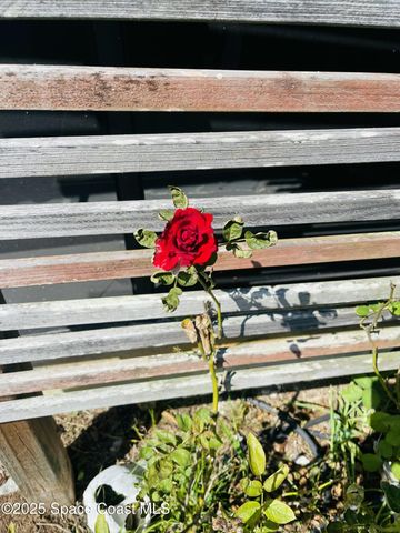 6230 Balsam Street, Cocoa, FL 32927