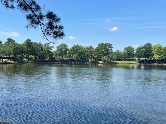 67 History Row, The Woodlands, TX 77380