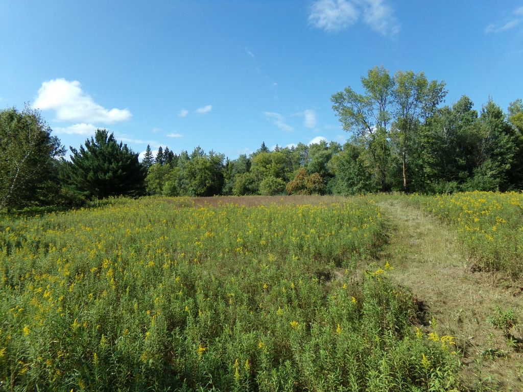 67xx Old Sawmill Road, Harris, MN 55032 — exterior