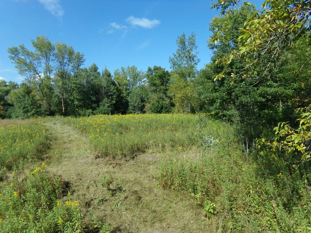 67xx Old Sawmill Road, Harris, MN 55032 — photo 2