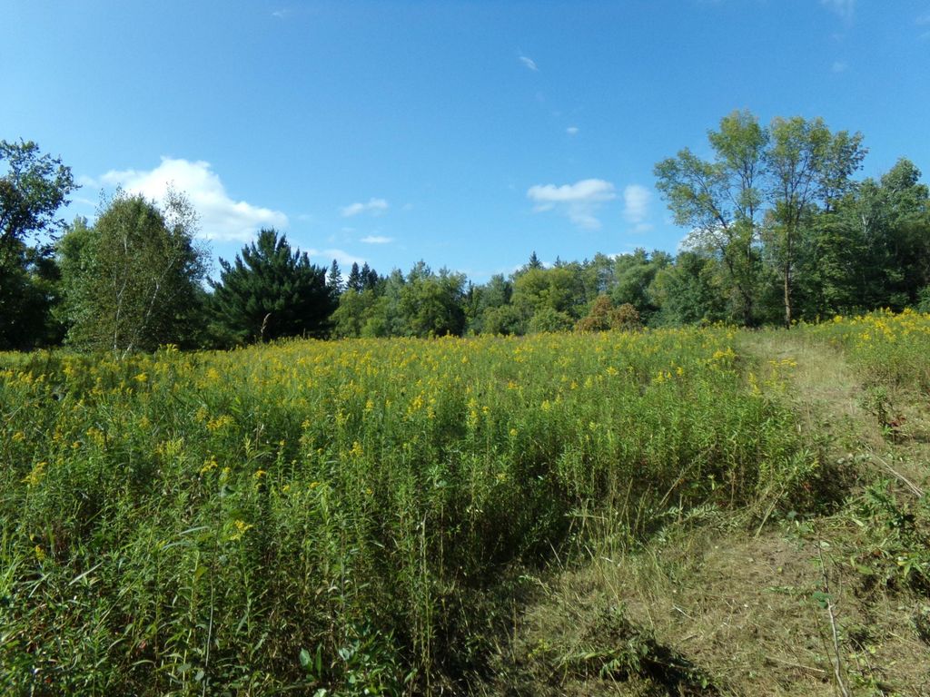 67xx Old Sawmill Road, Harris, MN 55032 — photo 3