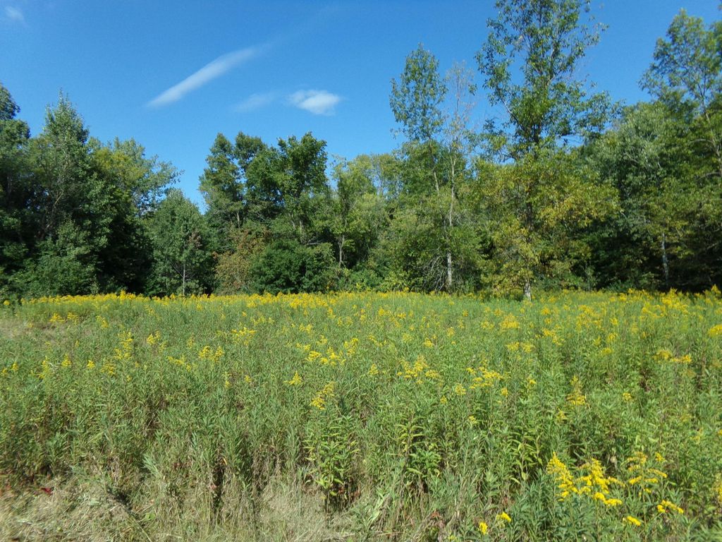 67xx Old Sawmill Road, Harris, MN 55032 — photo 4