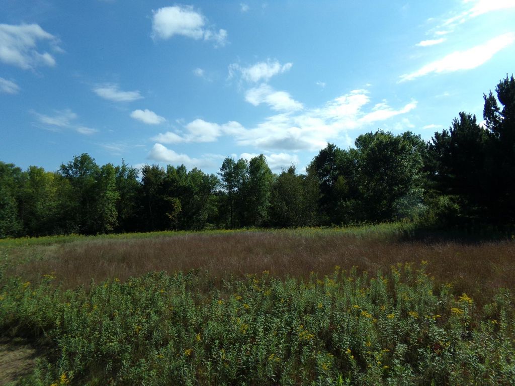 67xx Old Sawmill Road, Harris, MN 55032 — photo 5