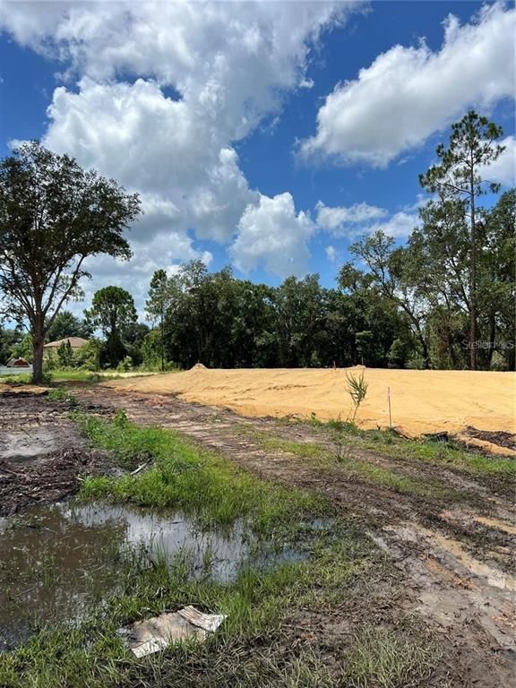 210 SPOONBILL DRIVE, Kissimmee, FL 34759