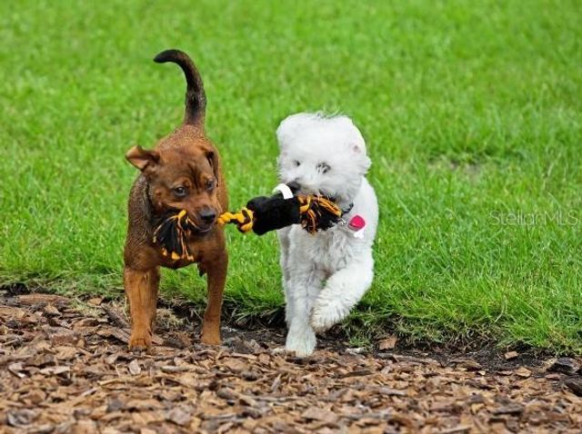 8623 OAKSTONE CIRCLE, Leesburg, FL 34788