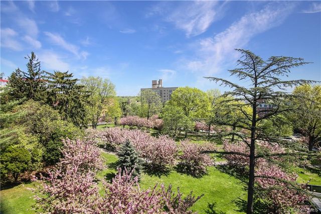 20 N Broadway H336, White Plains, NY 10601