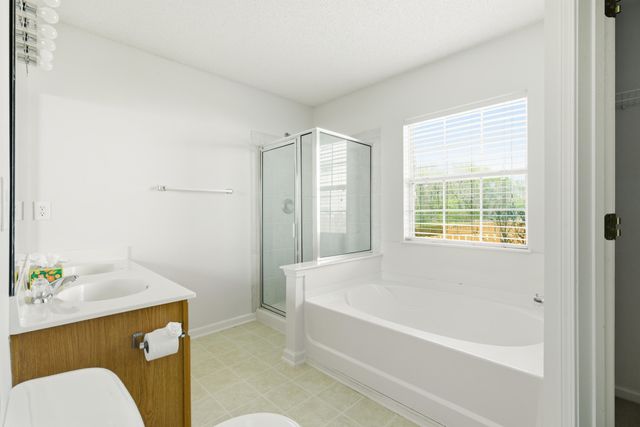 123 Broken Branch Drive, Goose Creek, SC 29445