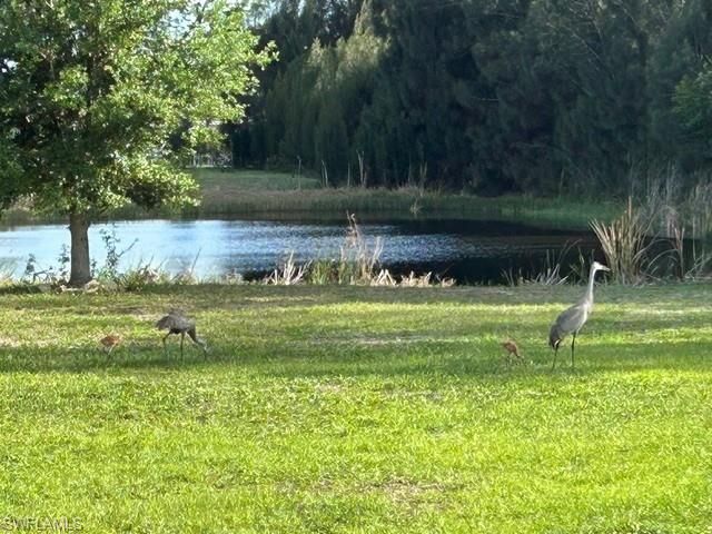 569 Rio Vista AVE, Punta Gorda, FL 33982