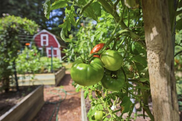 89 North Road, Sandown, NH 03873