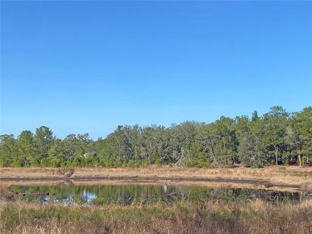 194 WHIRLWIND LOOP, Hawthorne, FL 32640