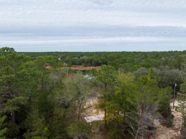 194 WHIRLWIND LOOP, Hawthorne, FL 32640