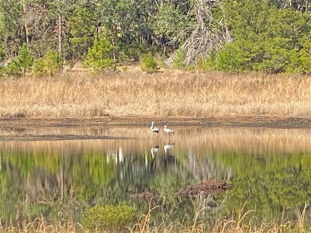 194 WHIRLWIND LOOP, Hawthorne, FL 32640