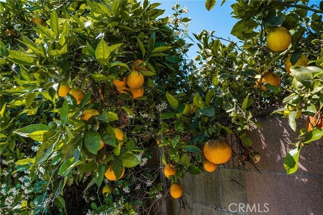 1865 W Tedmar, Anaheim, CA 92804