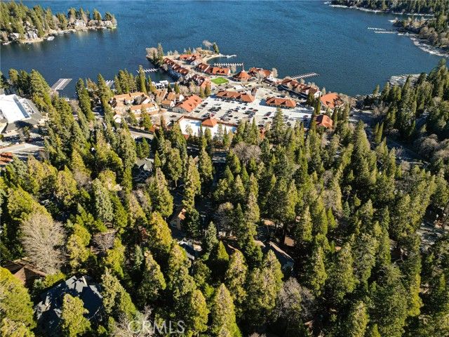 252 Crest Circle, Lake Arrowhead, CA 92352
