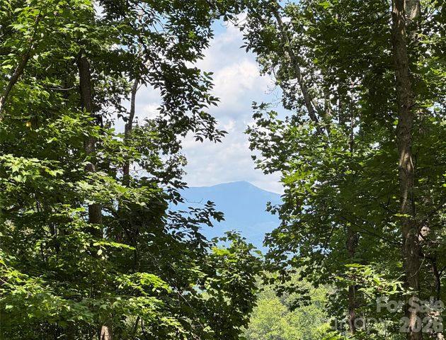 97 High Hickory Trail 2, Swannanoa, NC 28778