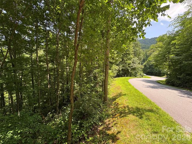 97 High Hickory Trail 2, Swannanoa, NC 28778