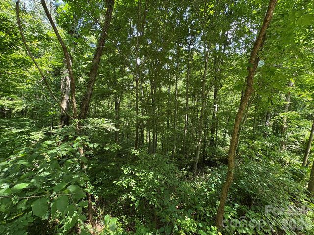 97 High Hickory Trail 2, Swannanoa, NC 28778