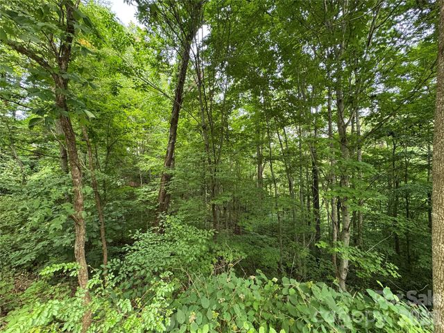 97 High Hickory Trail 2, Swannanoa, NC 28778