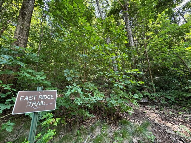 97 High Hickory Trail 2, Swannanoa, NC 28778