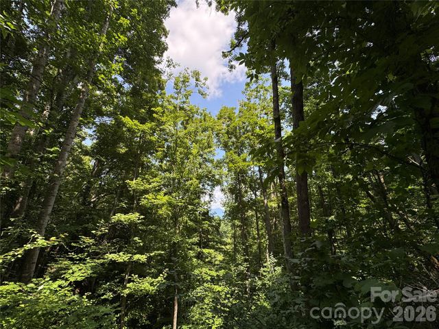 97 High Hickory Trail 2, Swannanoa, NC 28778