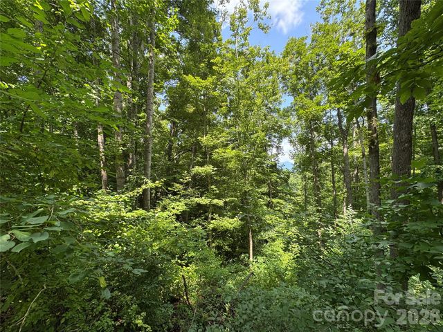 97 High Hickory Trail 2, Swannanoa, NC 28778