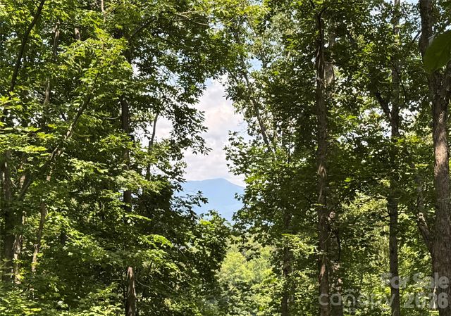 97 High Hickory Trail 2, Swannanoa, NC 28778