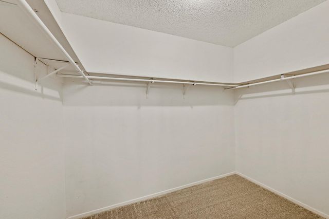 2411 Roehampton DR, Austin, TX 78745
