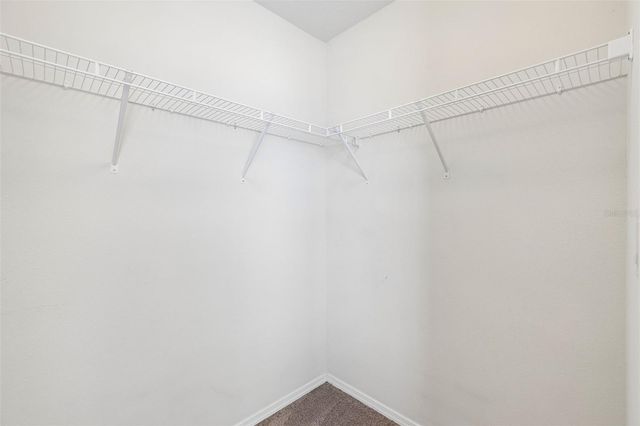 4768 WHITE SANDERLING COURT, Tampa, FL 33619