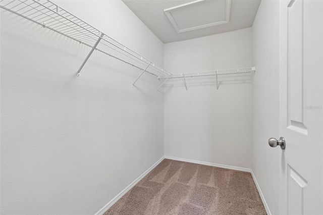 4768 WHITE SANDERLING COURT, Tampa, FL 33619