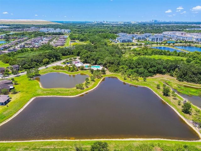 4768 WHITE SANDERLING COURT, Tampa, FL 33619